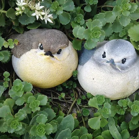 Farma Krapfhof *